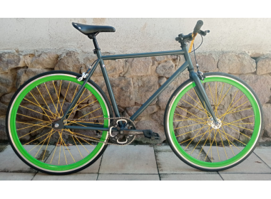 Bicicletă proiect SINGLE SPEED No. 3