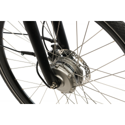 Bicicletă electrică CORWIN, 28 Inch, Gri 